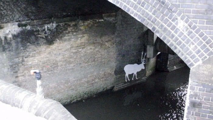 inverse silhouette of a stag
                  on a tunnel wall