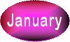 January 2017 diary page