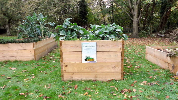 the kitchen garden