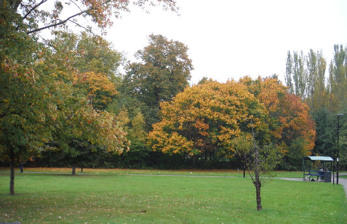 a wonderful
                            display of autum colours