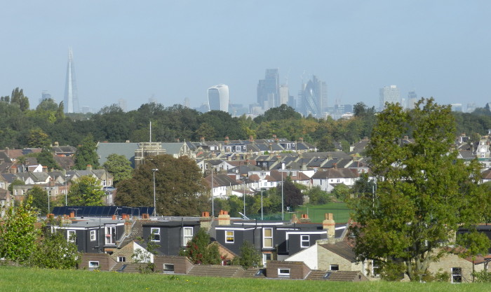 another view from the
                        top of Blythe Hill Fields