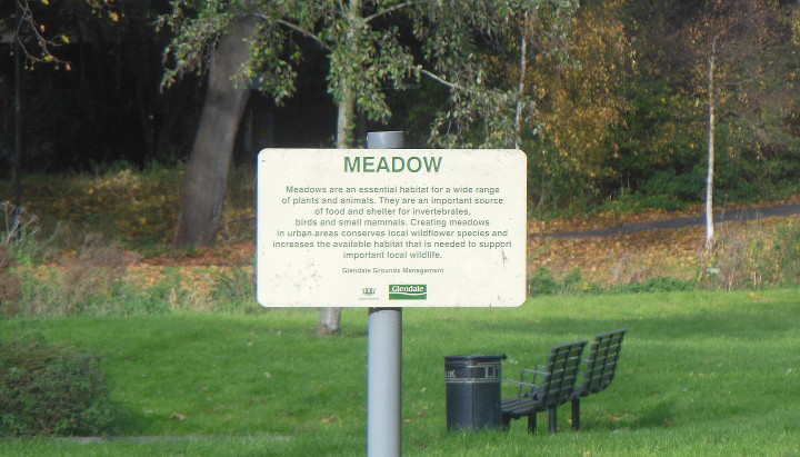 meadowland