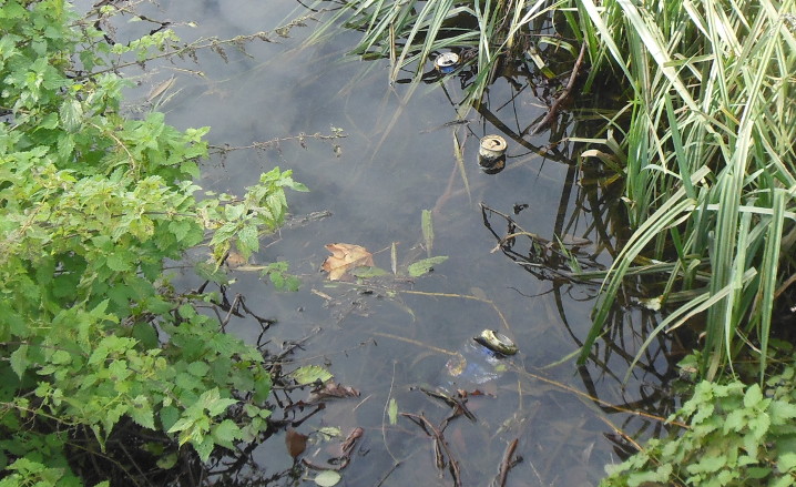 backwater filled with
                        old beer cans