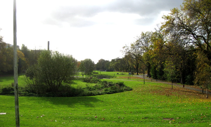 a sunny day in the
                        park