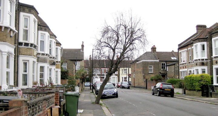 tree reaching across to the other side
                        of the road