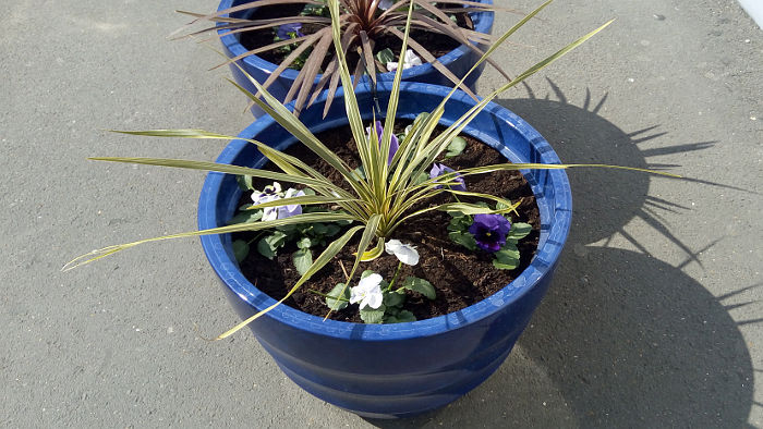 planter on Waterloo East platform A