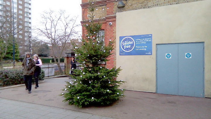 Xmas tree outside the
                        entrance of Lewisham Hospital