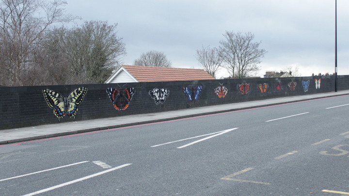 the famous Catford
                        butterflies