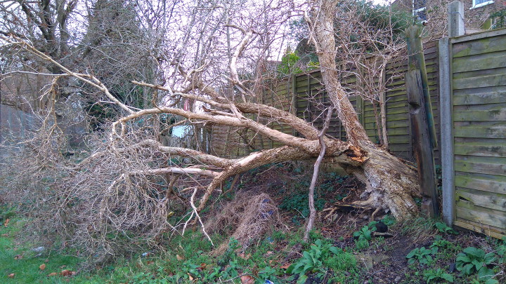 storm damage