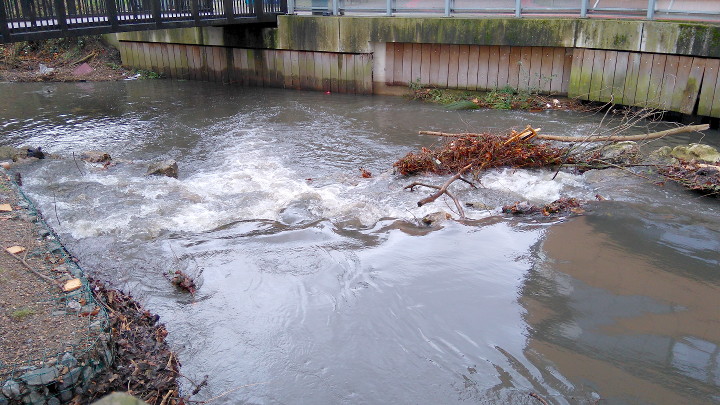 swollen river pouring
                        over weir