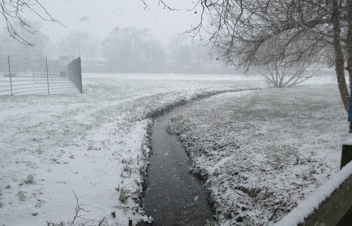 snow on the meadow