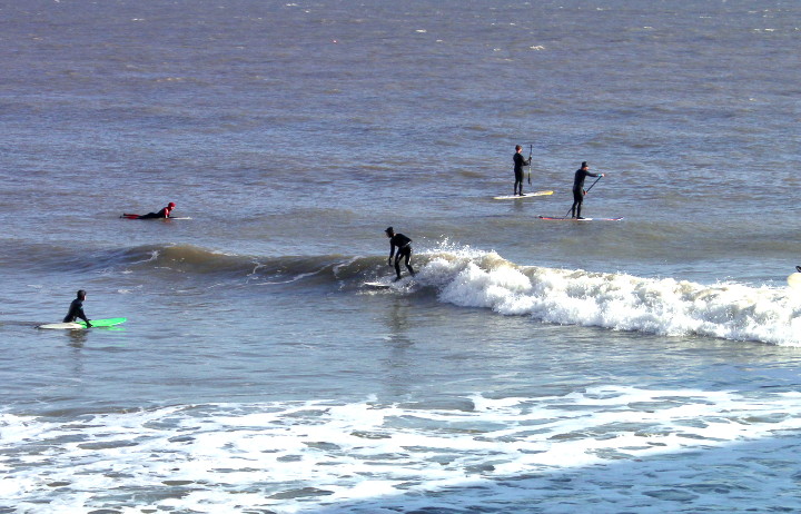 surfers surfers