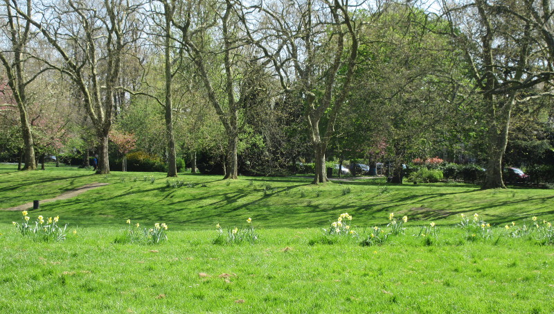 Lewisham Park