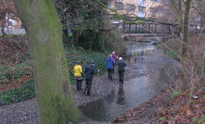 cleaning the river