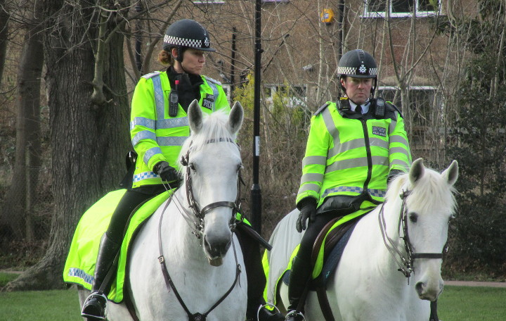 mounted police