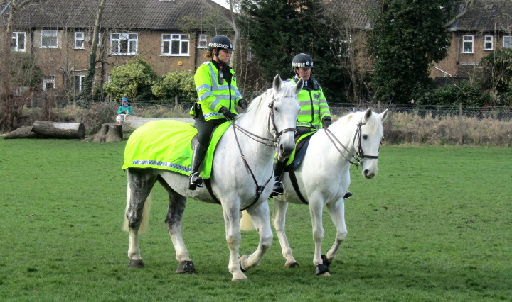 mounted police