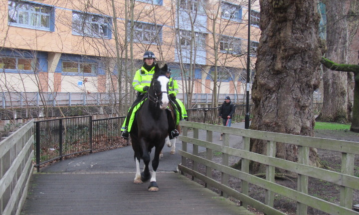 mounted police in single file