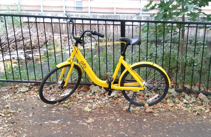 an Ofo bike parked in
                        a strange place