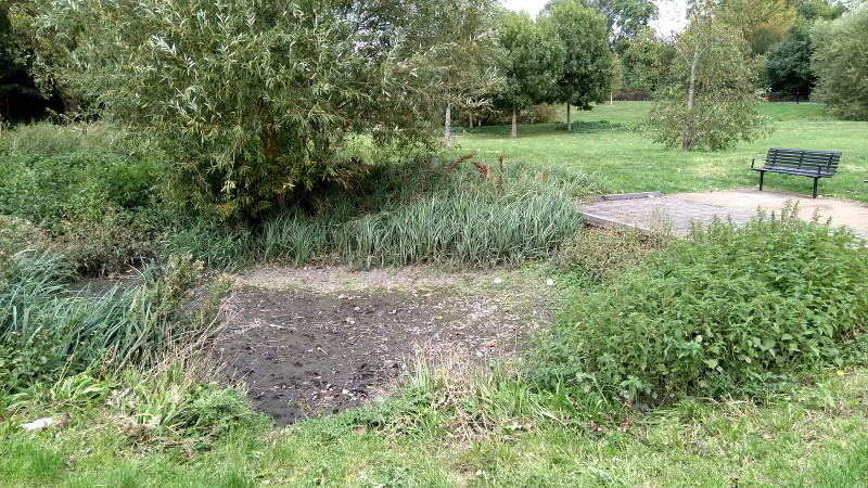 favourite pond dried
                        up