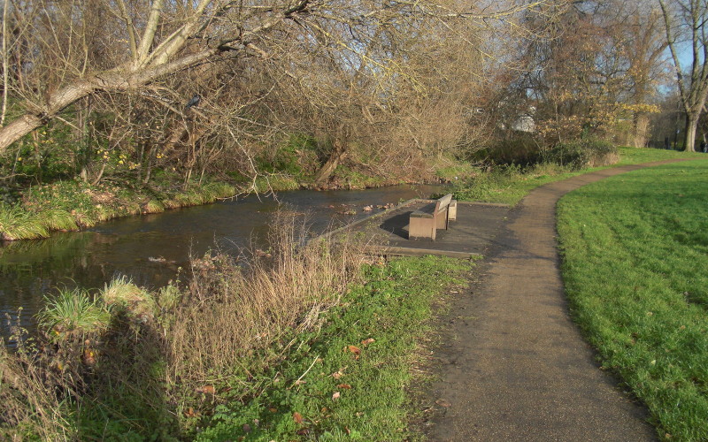 looking tranquil
                              and almost like summer