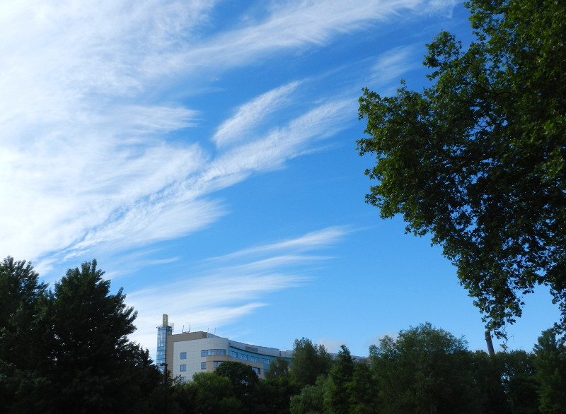 lovely blue sky and
                      whispy clouds