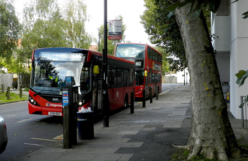 Bus stand in Thomas
                        Lane