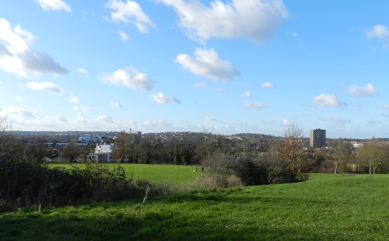 view
                                      from the top of the hill