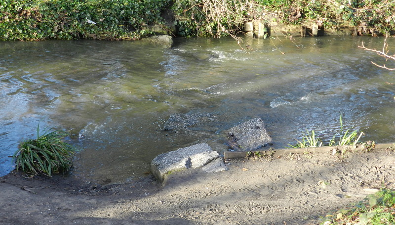 submerged
                              stepping stones