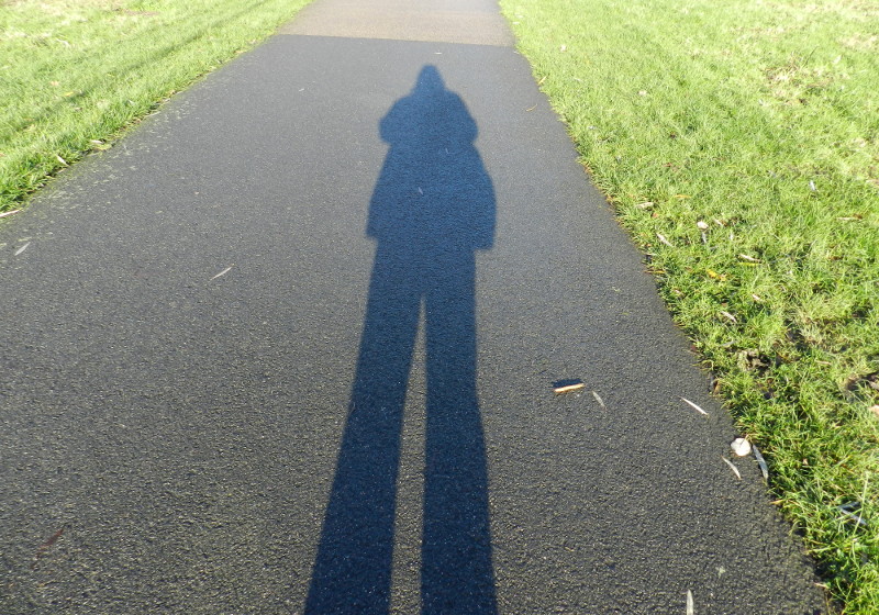 that low sun
                              casting long shadows near midday