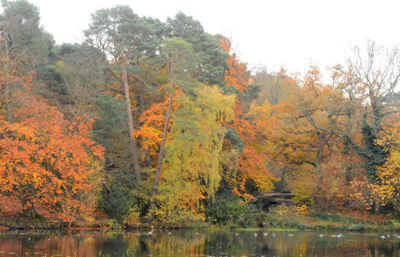 view across the pond