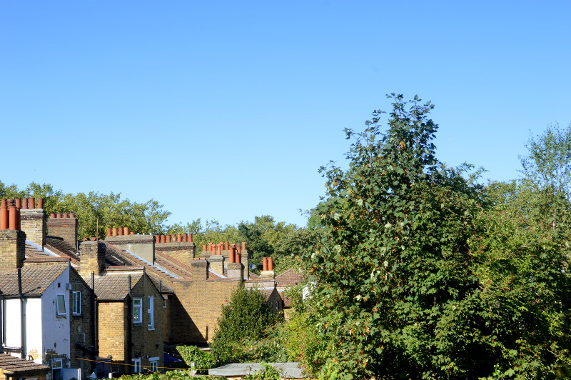 nice blue sky
                        yesterday