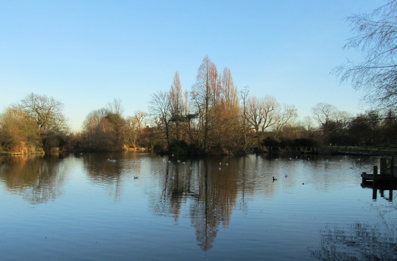 view across a lake near
                      sunset