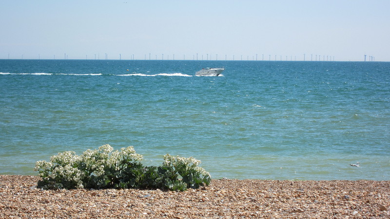 power boat passes