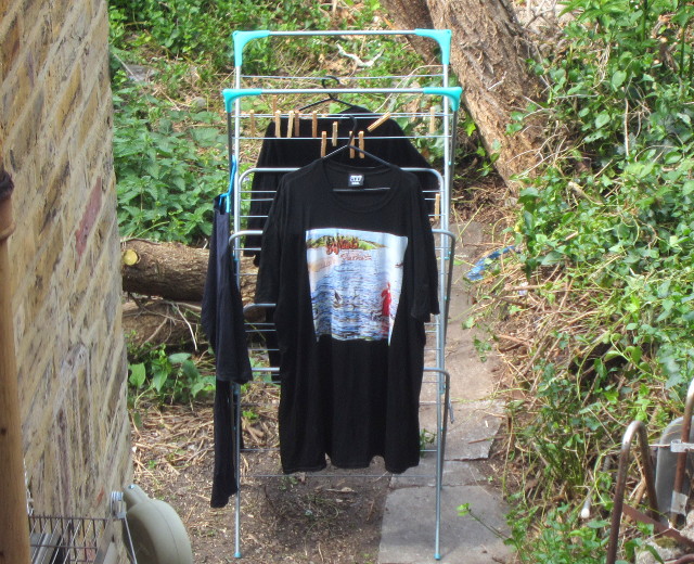 t-shirts drying in the
                      sunshine