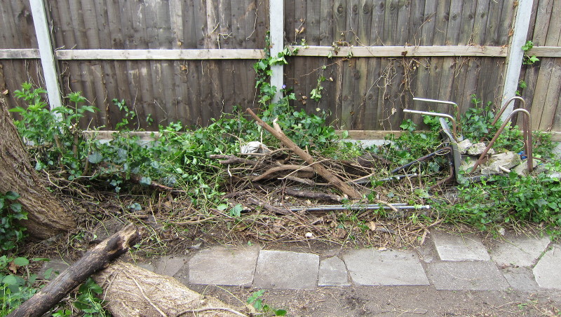 more garden clearance