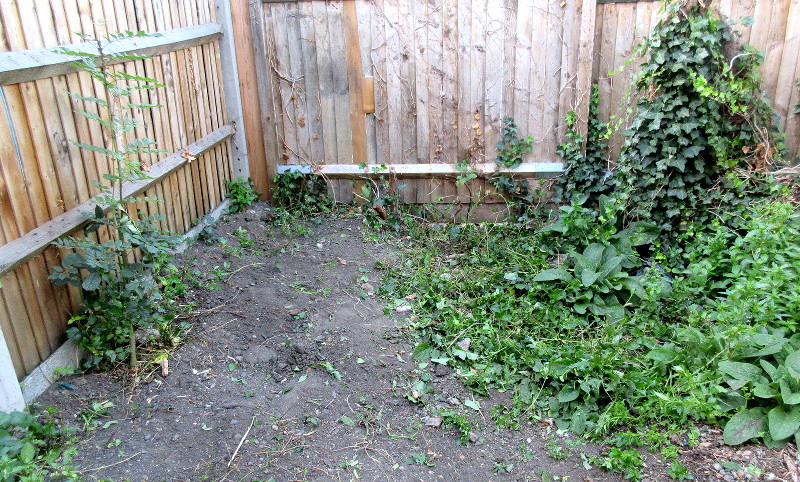 another patch of
                        mostly cleared garden