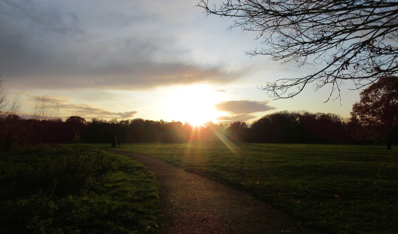 the sun starting to
                        disappear behind the trees