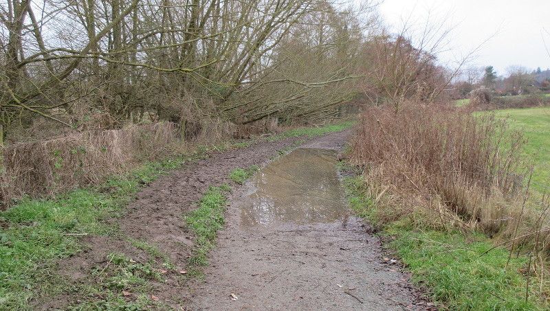 a pond in the middle of
                      the path