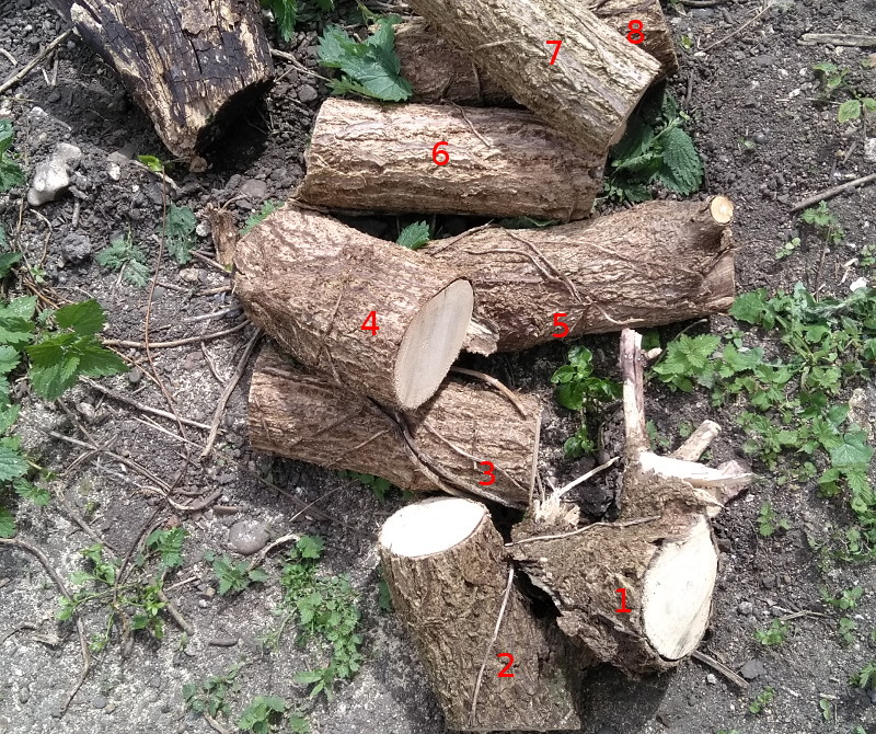 growing pile of small
                      logs