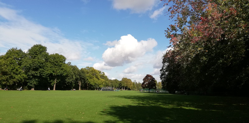 blue sky and fluffy
                        clouds