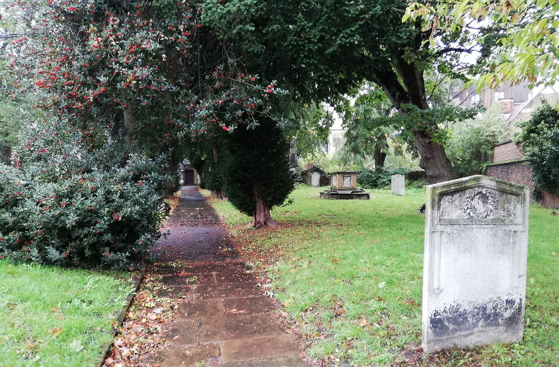 The avenue of yew
                        trees