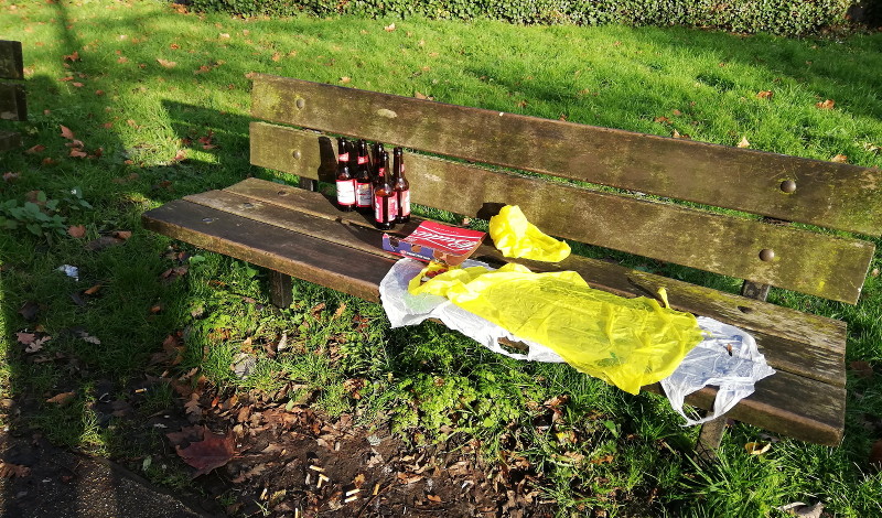 party time in
                              the park - probably in the rain