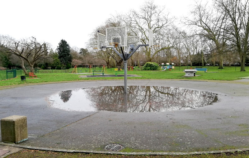 pond or puddle