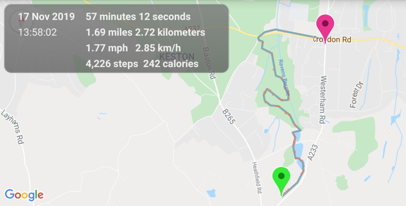 walking Keston Common