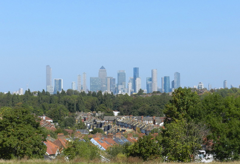 view from the
                              top of Blythe Hill Fields