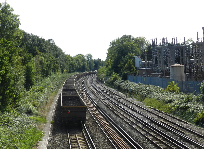 view from the
                              bridge