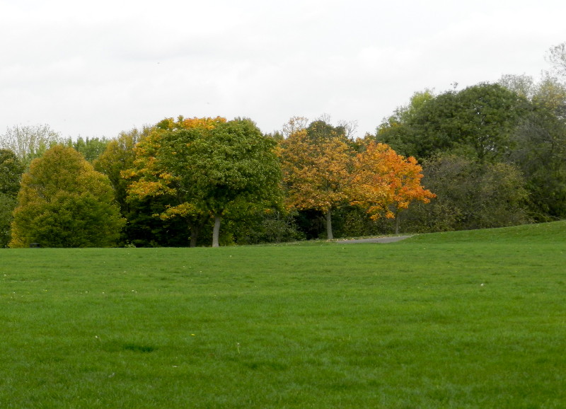 autumn colours