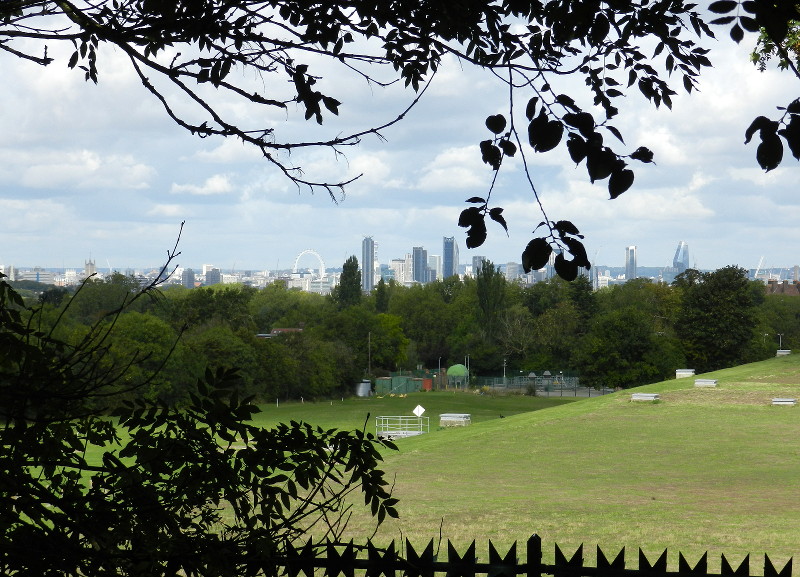 view from
                              Brenchley Gardens