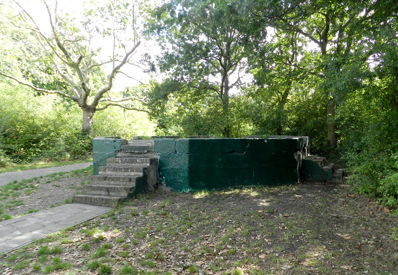 gun
                                    emplacement