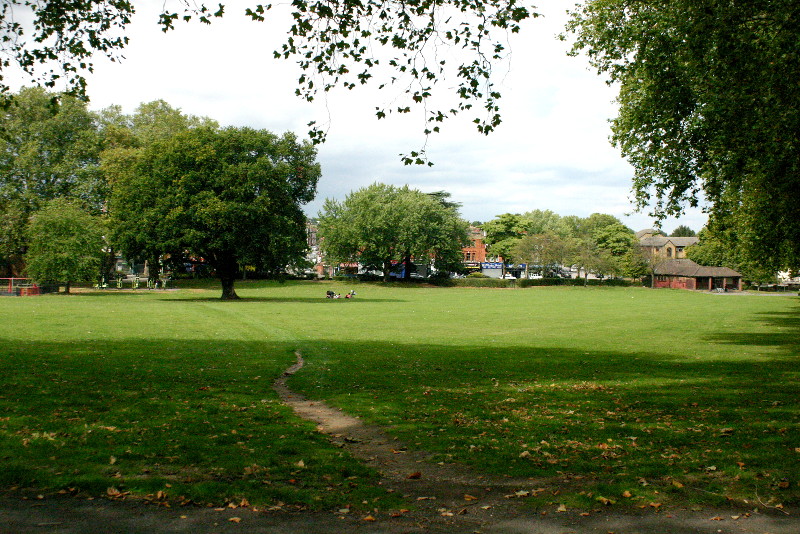 view across Hope
                              Park